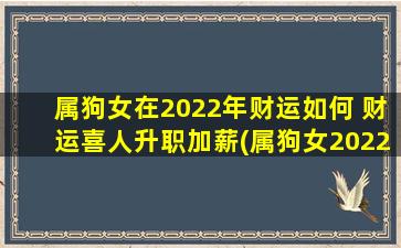 属狗女在2022年财运如何 财运喜人升职加薪(属狗女2022年财运大爆发！升职加薪神速，财运喜人！)